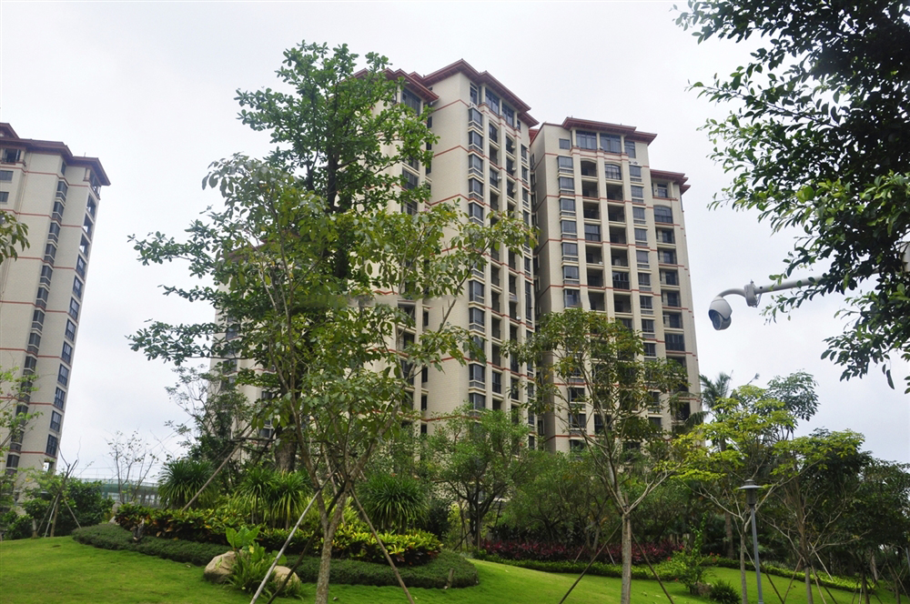 小区楼栋实景6