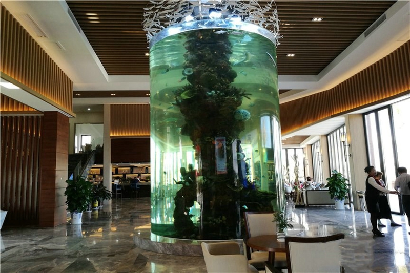 椰风浪琴实景图08