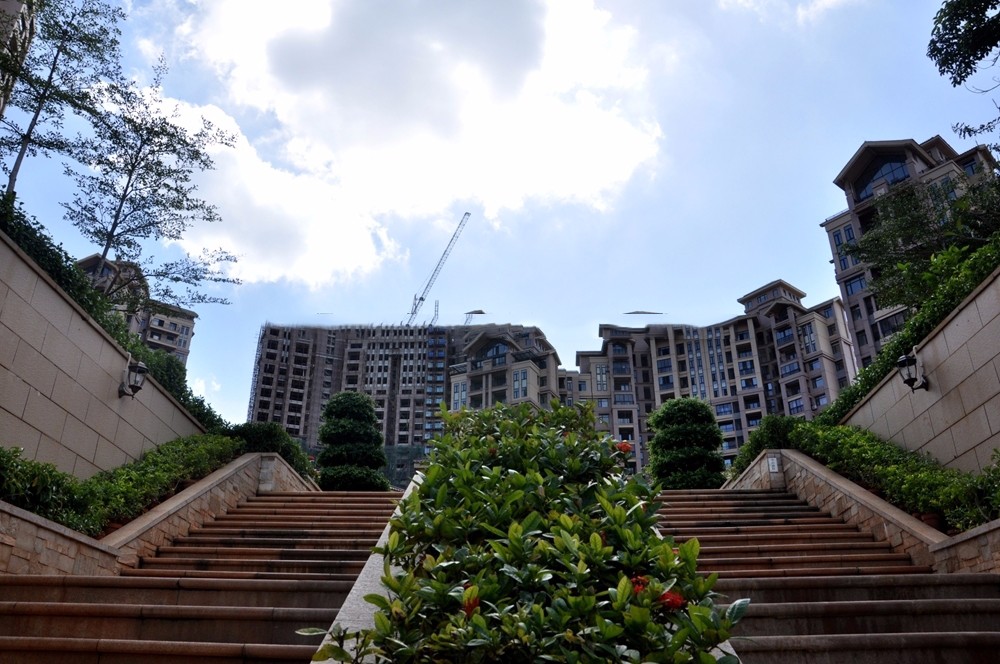 小区楼栋实景图 小区楼栋实景图