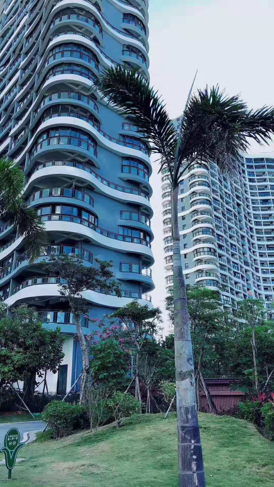 实景图2