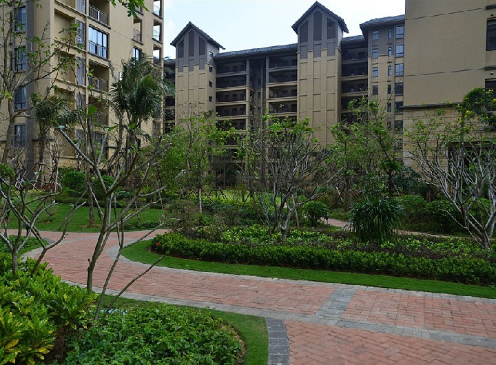 小区绿化实景