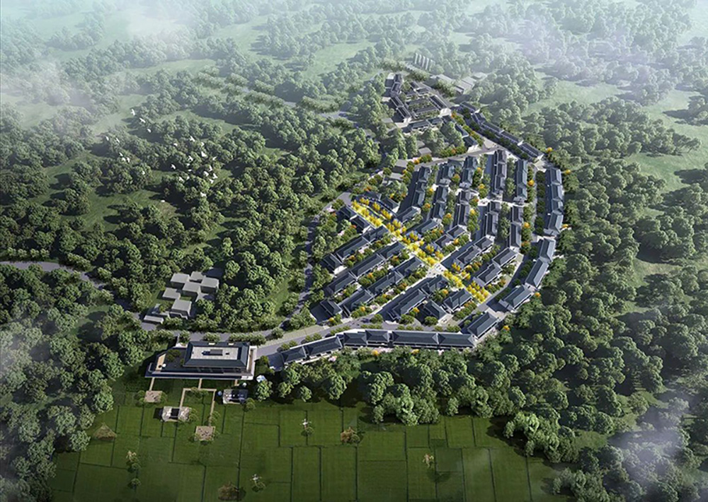 鸟瞰图1