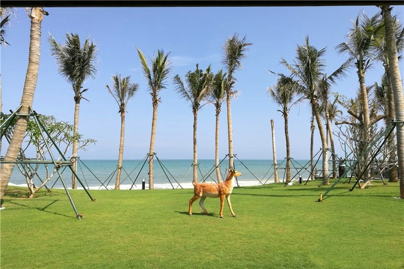 椰风浪琴实景图02