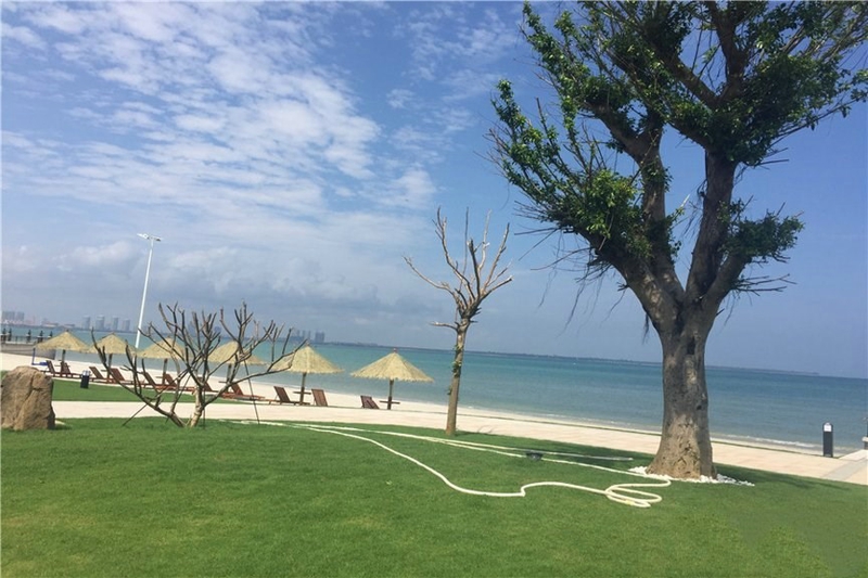 椰风浪琴实景图13