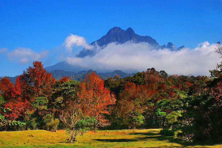 五指山风景zz