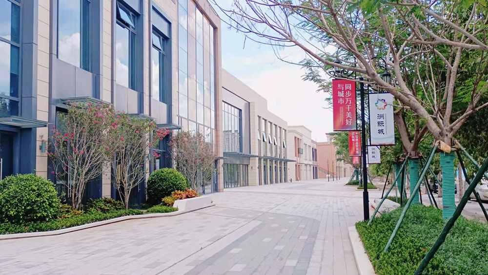 实景图4