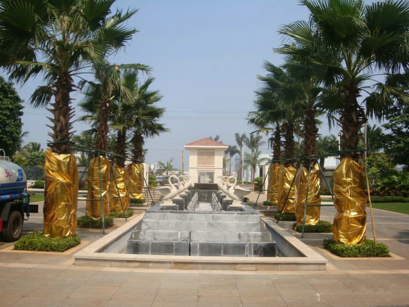 鲁能海蓝福源实景图04