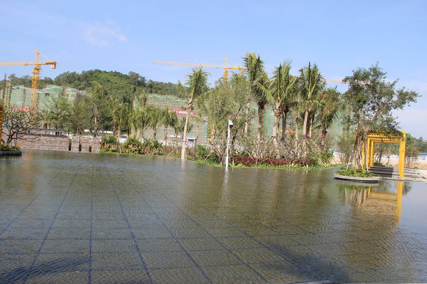 小区绿化3