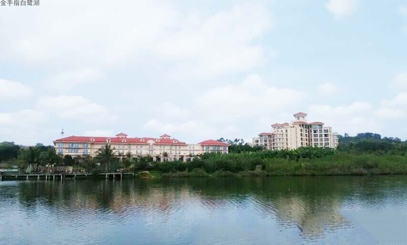 实景图 5