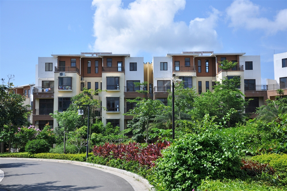 小区绿化实景13