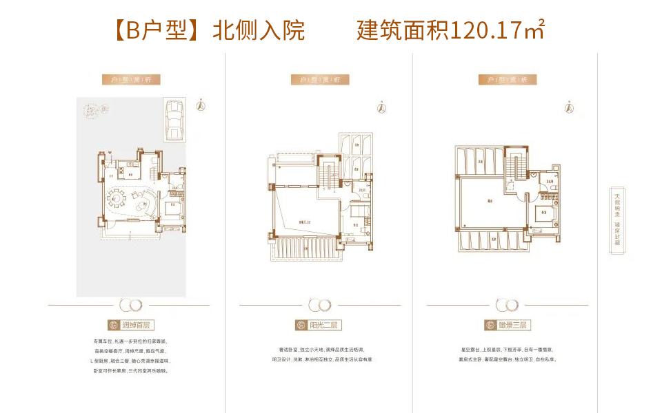B户型-北侧入院 3+N房户型