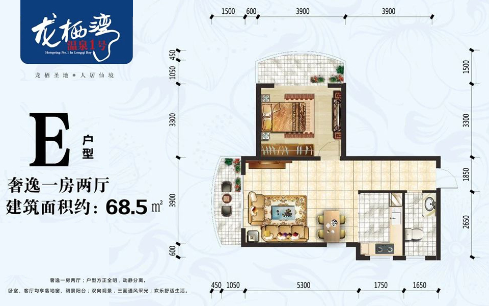 E户型 1房2厅