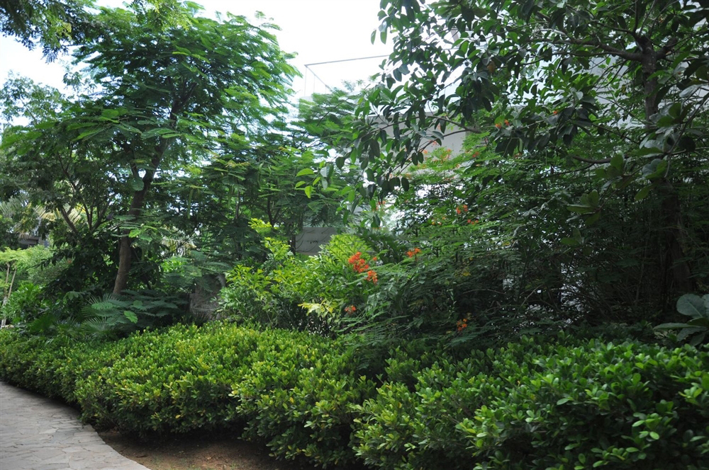 社区园林景观10