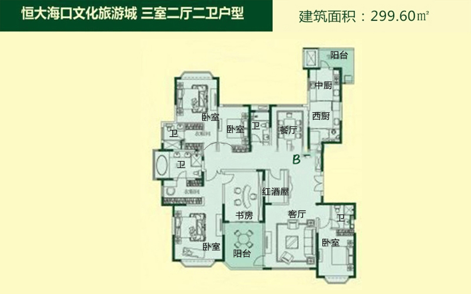 299.6㎡B户型 5房2厅4卫1厨