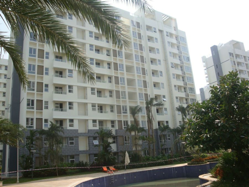 鲁能海蓝福源实景图06