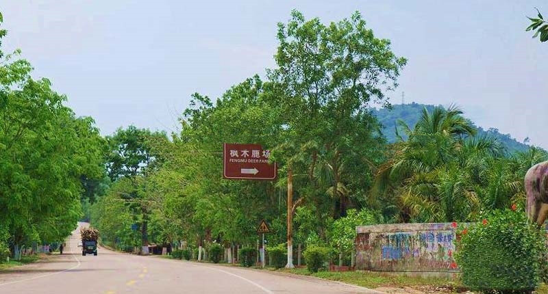 周边配套：宽敞大道1