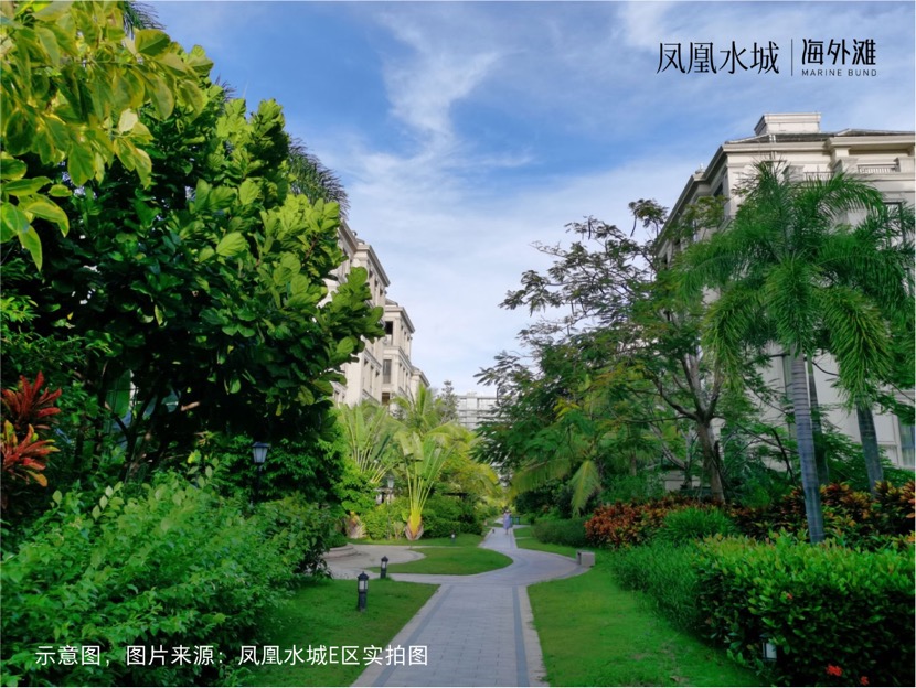 实景图