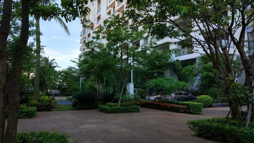 小区园林实景图 小区园林实景图
