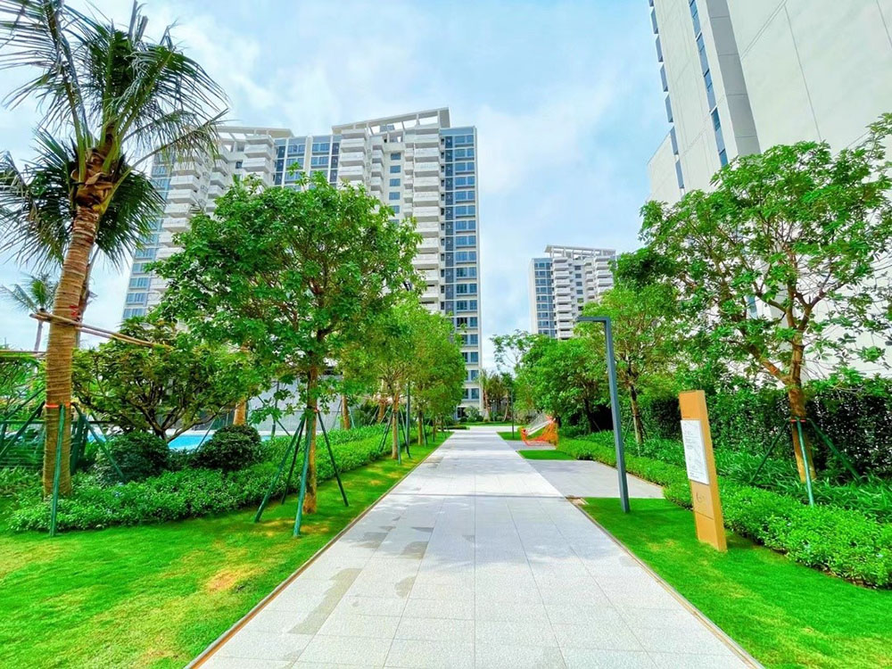 实景图1