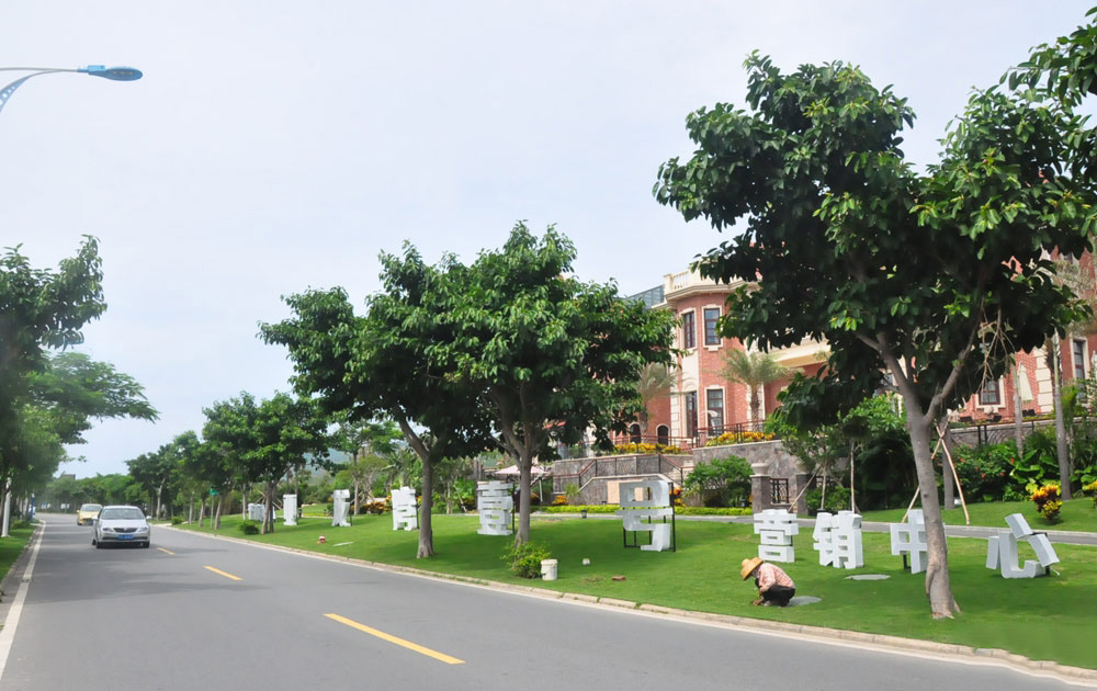 实景图 (2)