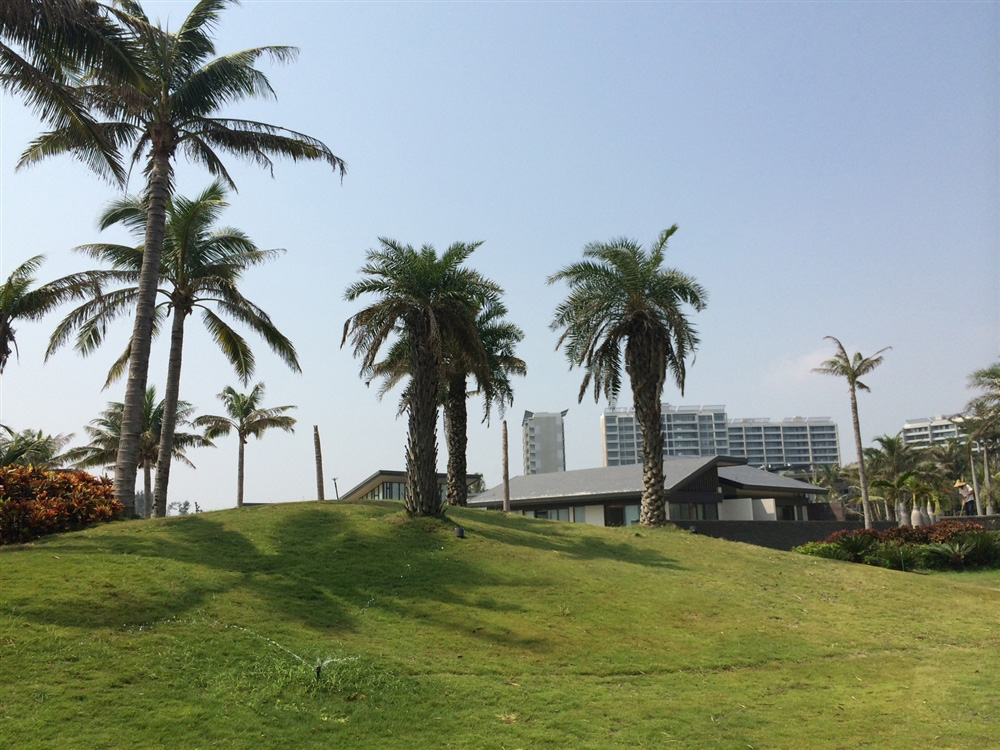小区园林绿化1