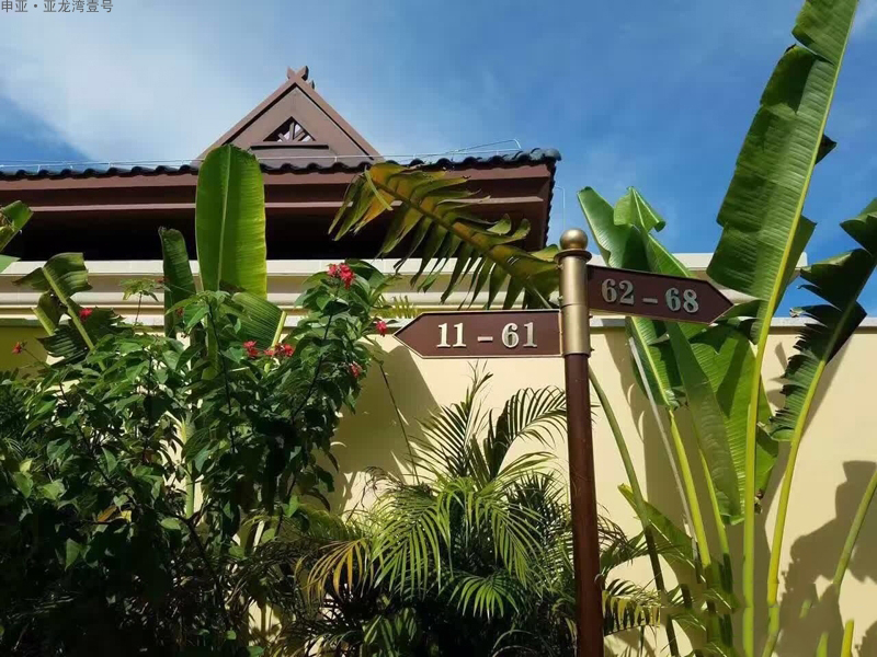实景图