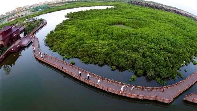 美兰高尔夫温泉别墅楼盘实景图2