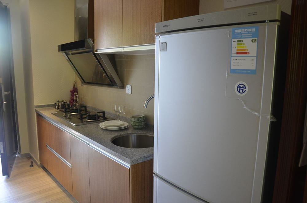 D户型 1室1厅1卫1厨 62㎡ 样板间:厨房