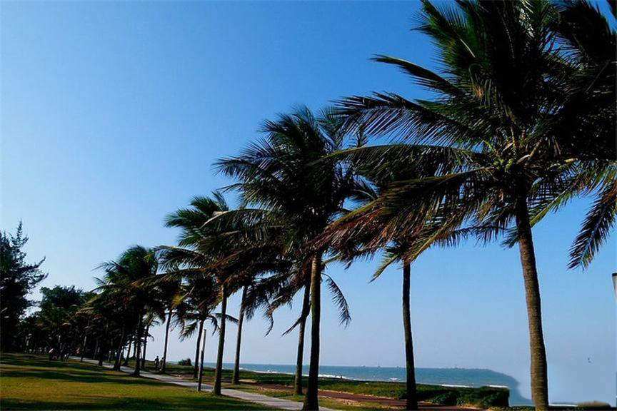 周边西海岸海边景观