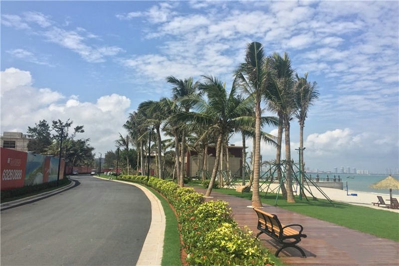 椰风浪琴实景图17