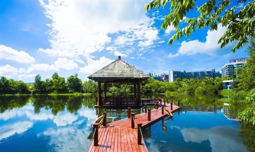 小区园林实景图 小区园林实景图