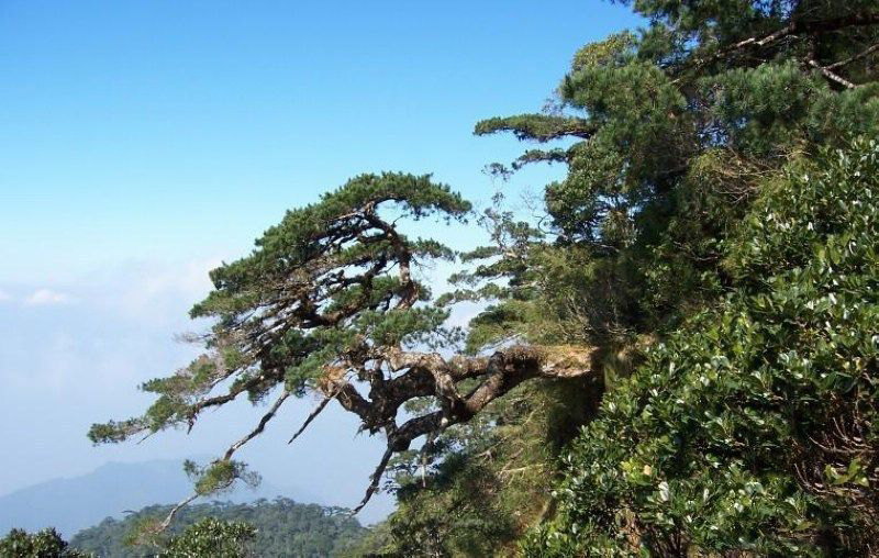 周边配套--五指山