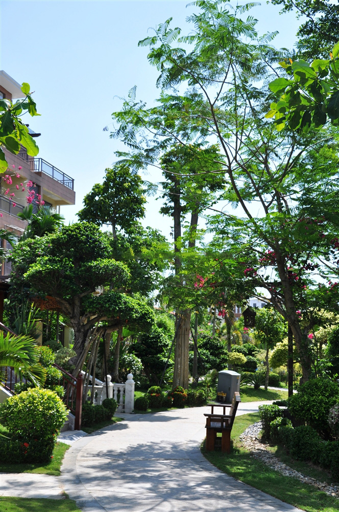 小区绿化实景11