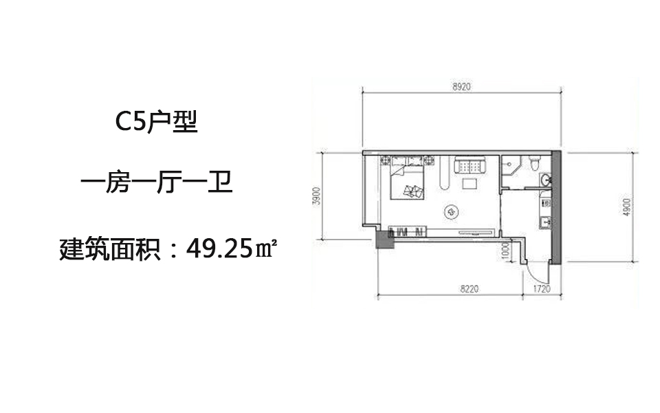 C5户型 一房一厅一卫 49.25