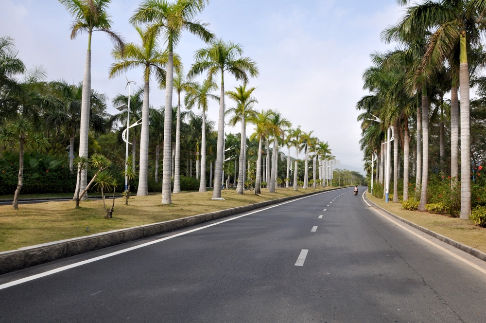 小区周边道路c