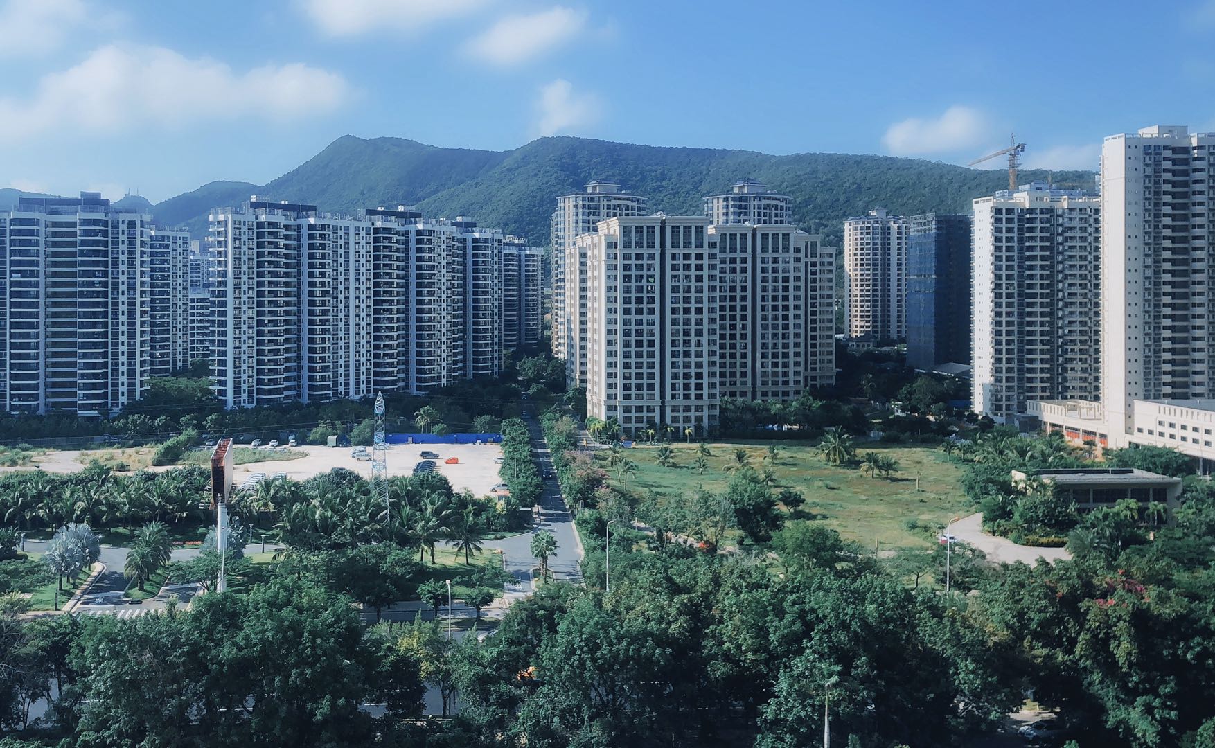实景图
