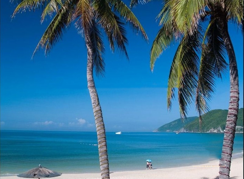 小区周边配套:大东海景色