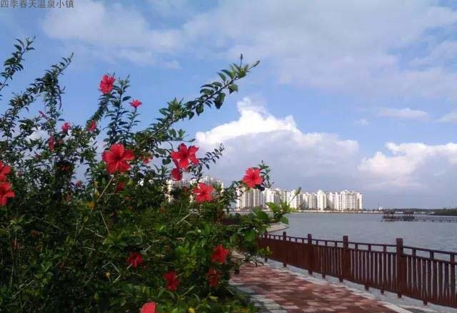 实景图20