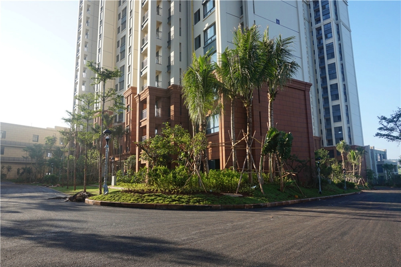 椰岛小城实景图13