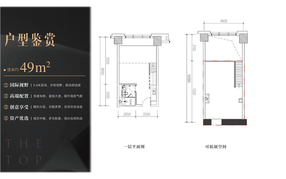 富力首府建面约49平米一房一厅户型图