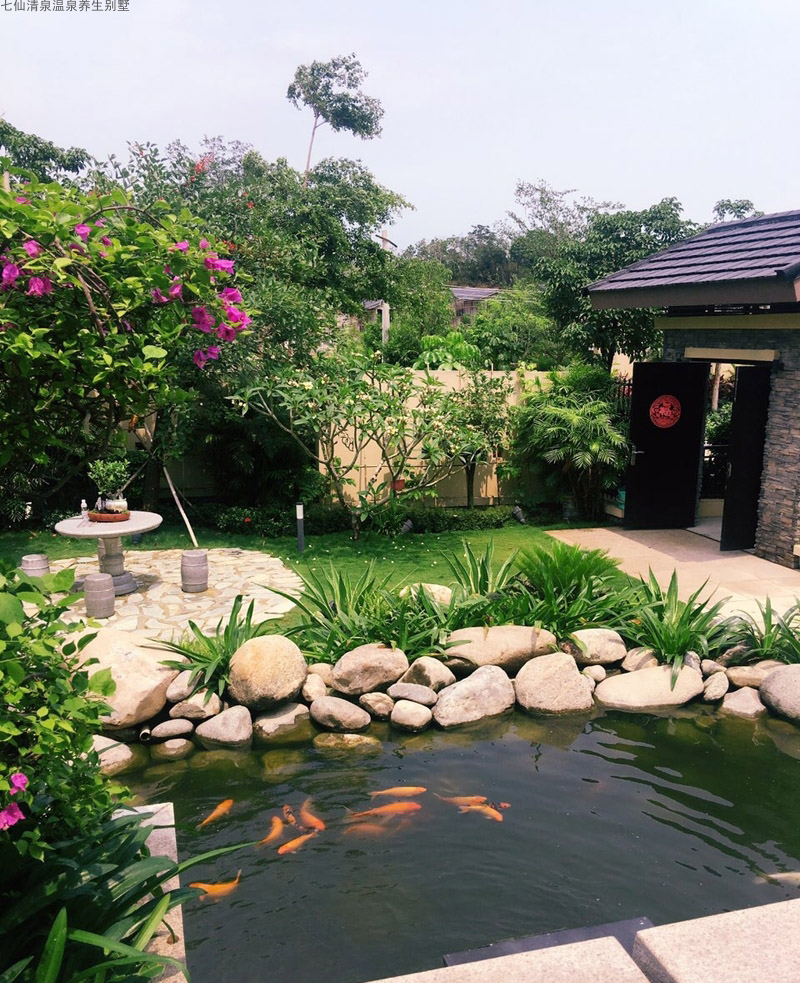 实景图7