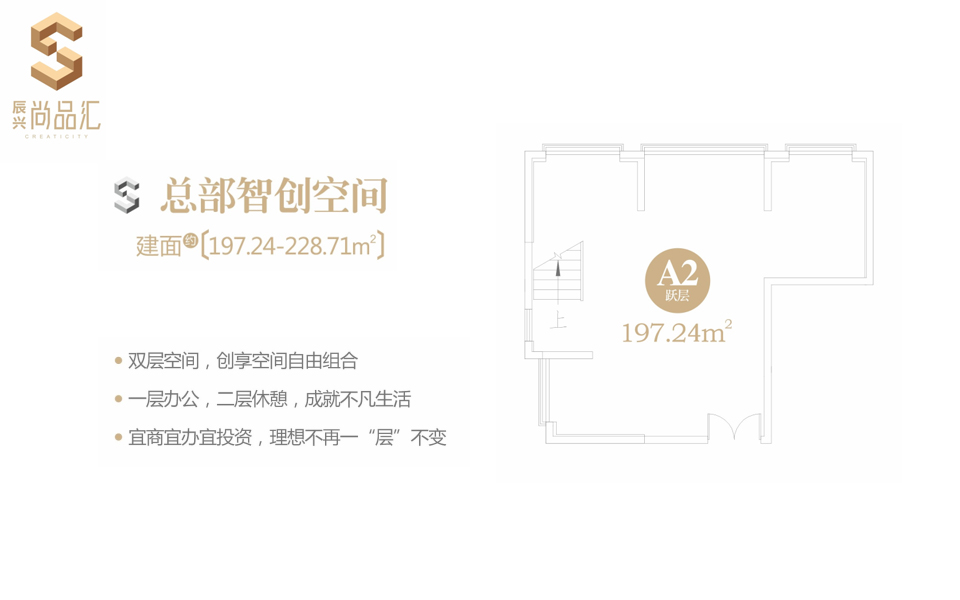 A2户型 