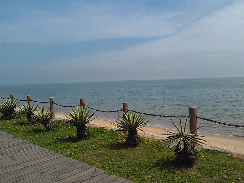 周边配套：西海岸带状公园