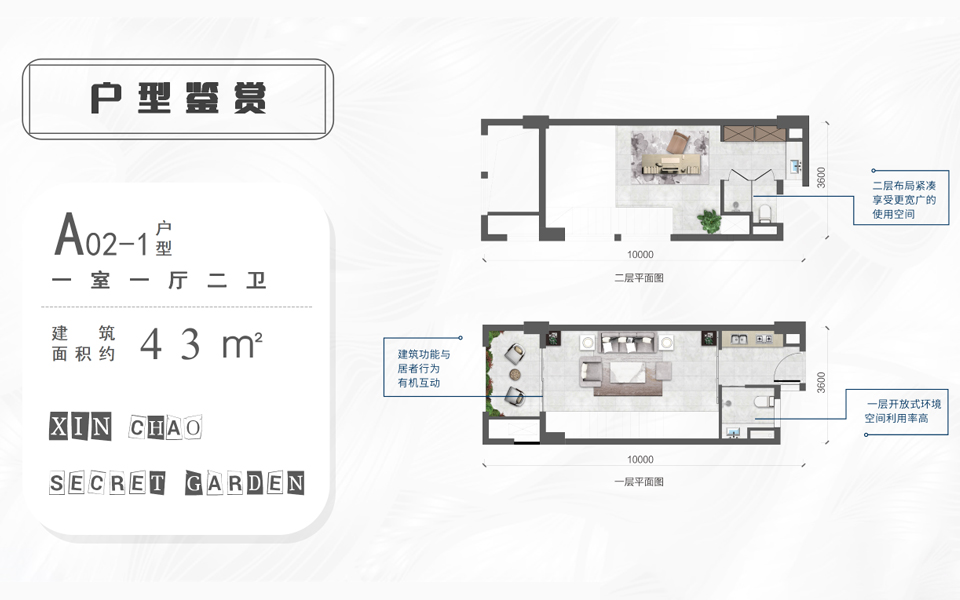 创意空间A02-1户型 1房1厅