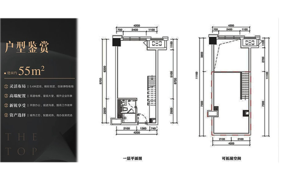 富力首府建面约55平米一房一厅户型图