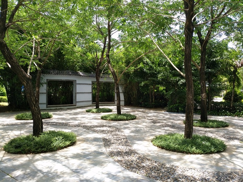 保利崖州湾园林实景图 保利崖州湾园林实景图
