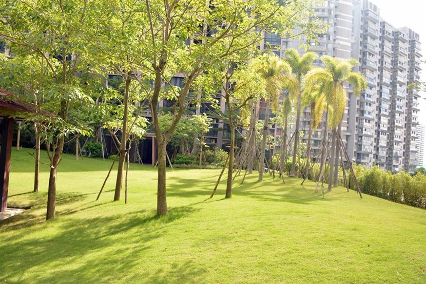 小区园林实景图 小区园林实景图