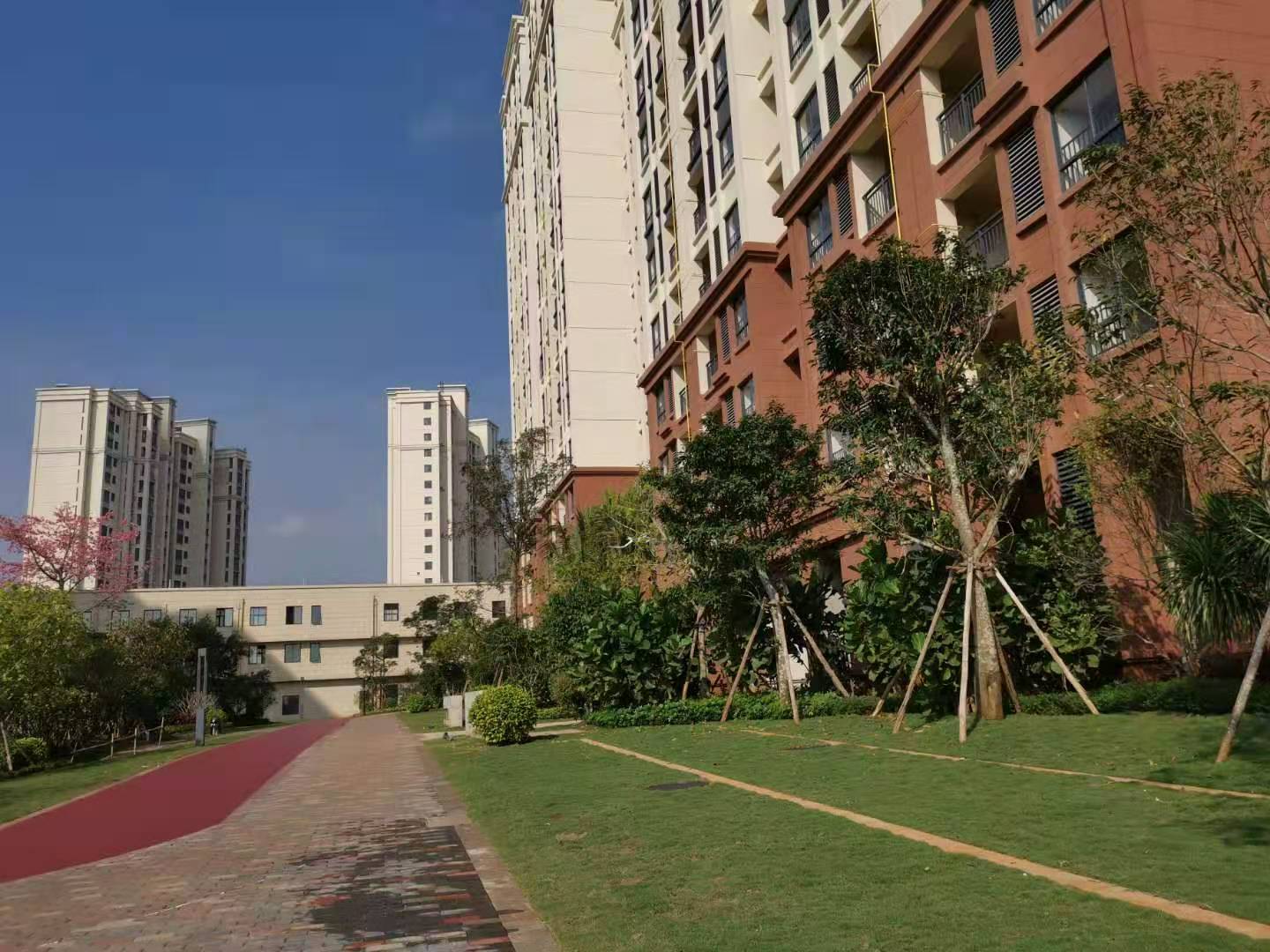 实景图26