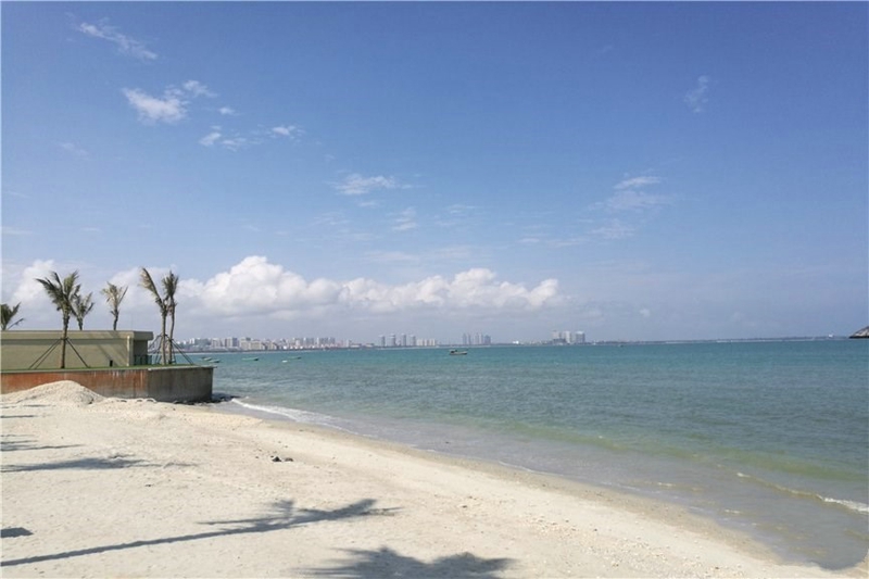 椰风浪琴实景图03