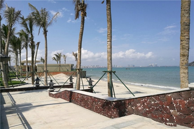 椰风浪琴实景图05